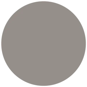 CC 116 - Zanzibar Elephant