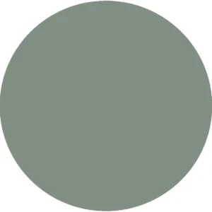 CC 1201 - Seattle Haze