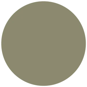 CC 311 - Valencia Olive