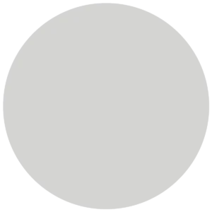 CC 514 - Minsk Grey