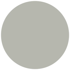 CC 526 - Riga Mouse