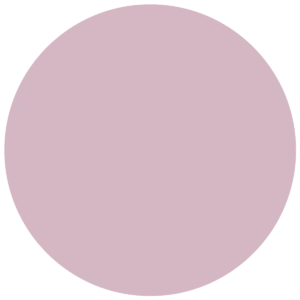 CC 542 - Bordeaux Tulip