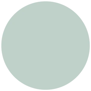CC 563 - Newport Mint