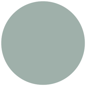 CC 566 - Lucca Olive