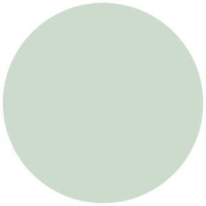 CC 569 - York Peppermint