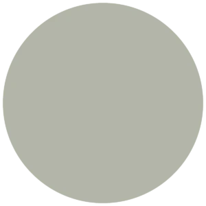 CC 570 - Alicante Avocado