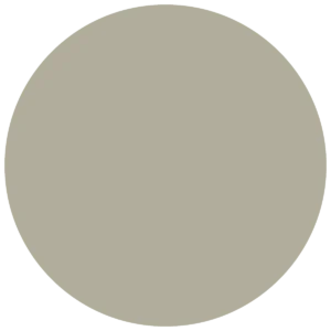 CC 571 - Honolulu Palm