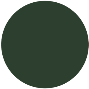 CC LP2 - Palermo Palm